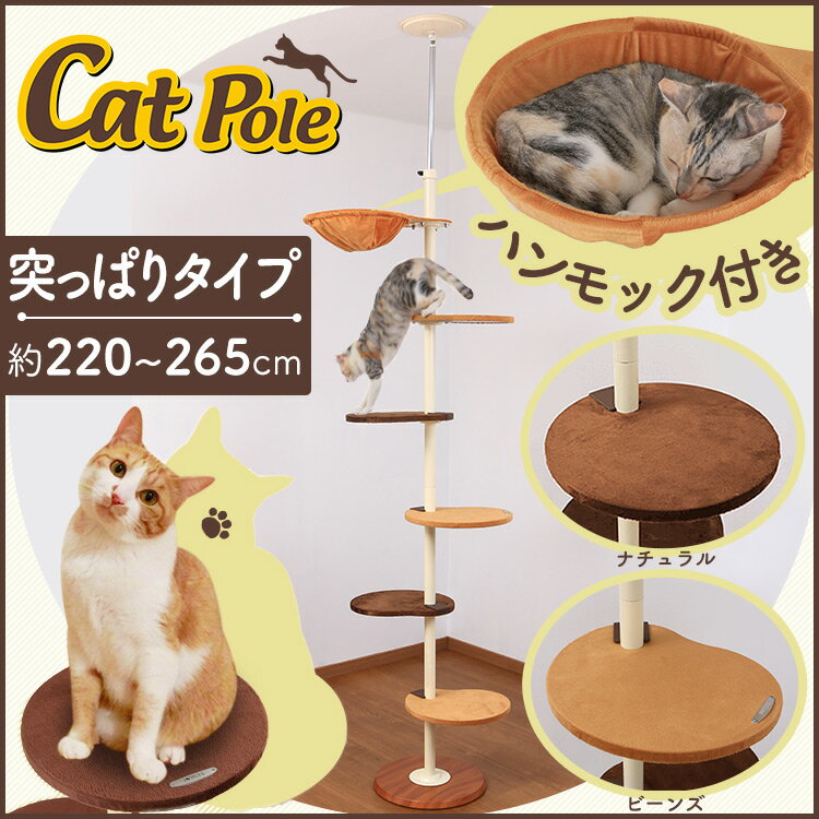 キャットタワー 突っ張り スリム おしゃれ 省...の紹介画像2