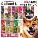 犬 おやつ 無添加 国産 フリーズドライ ママクックドッグフード 犬 フード おやつ ササミ とうふ ビスケット 牛モモ肉 豚ハツ レバー タンパク質 さつまいも ワカサギ マグロ 納豆