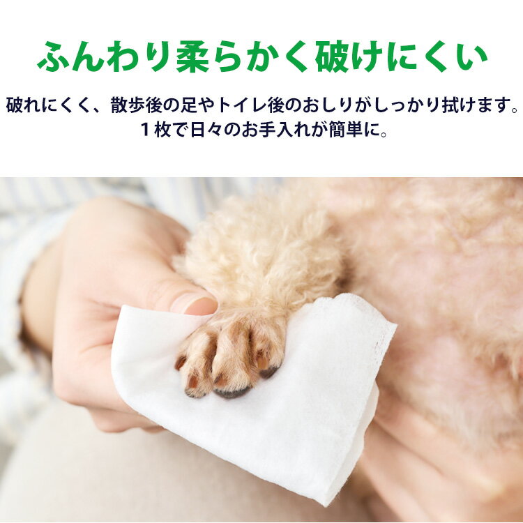 �ڢ�����400��OFF�����ݥ���׻��������ۥ����åȥƥ��å��� �ڥå��� �ڥå� �ڥå��ѥ����åȥƥ��å��� 80�� 240��(80���3�ĥ��å�)�����ꥹ������� DPWT-1P DPWT-3P �ڥå��ѥ����åȥƥ��å��� �ڥå� �ڥå��� �ڥå����� �����å� �ƥ��å��� �� ǭ