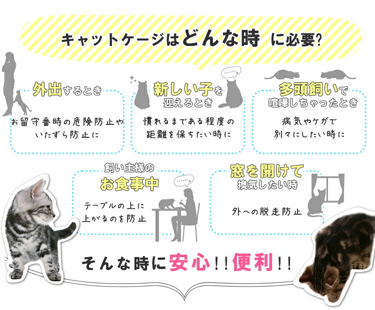 《当店イチオシ★!!》猫 ケージ 2段 広々キャットケージ PEC-902 ホワイト 送料無料 ネット限定 猫ケージ 留守番 ハウス 多段 キャスター付 二段 パステル おしゃれ シンプル 組立 簡単 ネジ不要 アイリスオーヤマ キャットランド