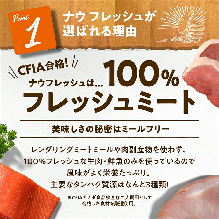 【LINE追加で最大2,000円OFF】NOW シニア＆ウェイトマネジメント 9.98kg ドッグフード グレインフリー プレミアムフード ミールフリー 生肉 野菜 フルーツ 手作り シニア ダイエット グローバルペットニュートリション 【B】 cat-land-10168529 キャットランド サンプル画像2