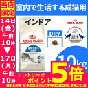 【最大350円OFFクーポン有】《最安値に挑戦》ロイヤルカナ...