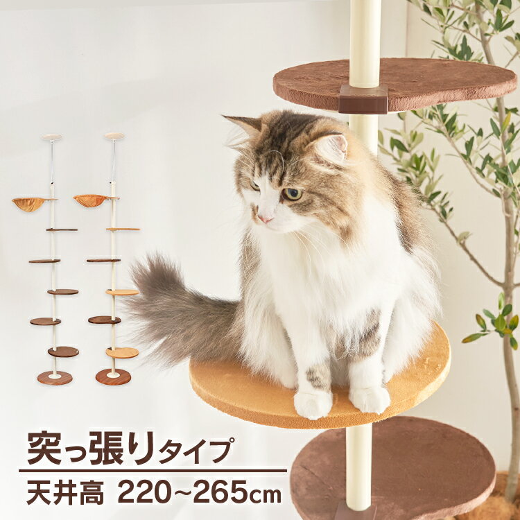 猫用インテリア・猫用家具