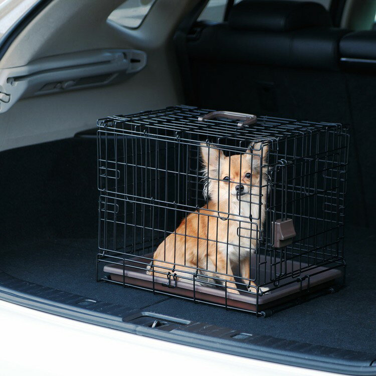 ペットキャリー 折り畳み 猫ゲージ 1段 一段 犬 小型犬 ケージ ゲージ 折りたたみ 折りたたみケージ アイアンブラック OKE-450R移動 おでかけ 旅行 アウトドア 軽量 帰省 病院 防災 避難 アイリスオーヤマ コンパクト 収納