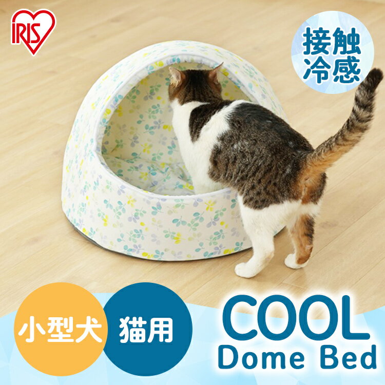 ペットベッド 夏用 クール Mサイズ 接触冷感 ひんやり ドーム 犬用 猫用 ペット用クールドームベッド PCDB-21M ドームベッド ドーム型 小型犬 いぬ 猫 ねこ 春 夏 涼しい ひんやり 冷たい 暑さ対策 アイリスオーヤマ