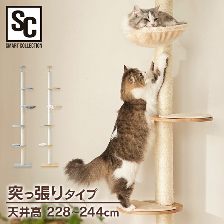 楽天キャットランドキャットタワー 突っ張り つっぱり スリム 省スペース 猫タワー 木登りキャットタワー 爪とぎ ポール KCCT‐244 突っ張り 猫タワー おしゃれ インテリア キャットポール 猫ツリー 木製 省スペース 多頭飼い 調節可能【AR対象】