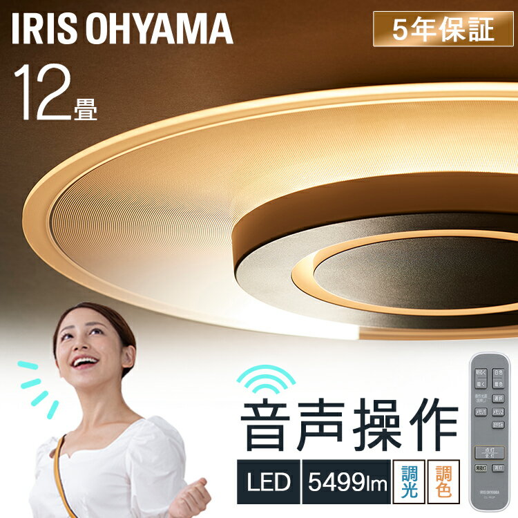 導光板シーリングライト 12畳 CEK-A12DLPV ホワイト送料無料 シーリングライト LED ライト 電気 電灯 あかり 音声操作 リモコン付き 節電 省エネ アイリスオーヤマ【RUP】【B】【RUP】