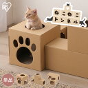 おもちゃ 猫 一人遊び トンネル カシャカシャ カシャカシャ キャット 送料無料猫 ネコ ねこ おもちゃ とんねる 筒 ぽんぽん ポンポン 【D】