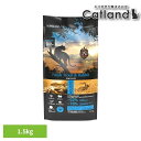 アンブロシア キャットトラウト&ラビット1.5kg 522121500トラウト 鱒 ウサギ ラビット 高たんぱく グレインフリー 超小粒 低脂肪 超小粒 泌尿器 【B】