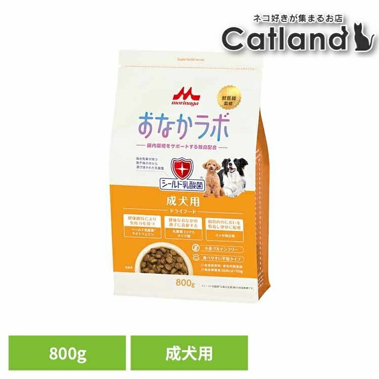 [最大400円OFFクーポン★ワン...