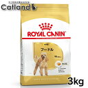 【最大1,000円OFFクーポン有★6/5限定】ロイヤルカナン 3kg プードル 犬 生後10か月齢以上 ジッパー付き ブリードヘルスニュートリション BHN 成犬用 ドッグフード 犬 いぬ ドライ フード プレミアムフード 総合栄養食 お得 まとめ買い 3182550765206 ROYALCANIN【rcdb13】