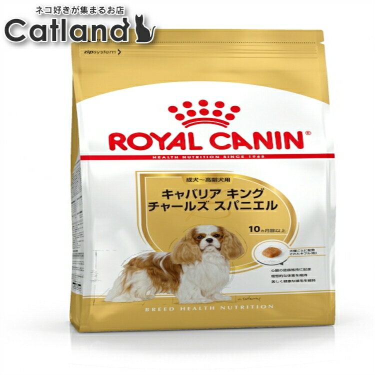 楽天キャットランド【セットはさらにお得！】ロイヤルカナン 犬 BHN キャバリア キング チャールズ 成犬〜高齢犬用 3kg ≪正規品≫ 生後10ヵ月齢以上 成犬〜高齢犬 アダルト シニア 犬 ドライ アダルト ドッグフード ROYAL CANIN [3182550777698]【rcdb01】