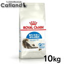 ロイヤルカナン 猫 インドア ロングヘアー 室内で生活する長毛の成猫用 10kg 全猫種用 生後12カ月齢〜7歳まで フィーラインヘルスニュートリション FHN...