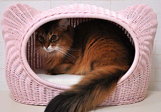 送料無料 ラタンキティハウス 猫用ベッド 猫 ベッド 猫用ハウス キャットランド[TP]【D】