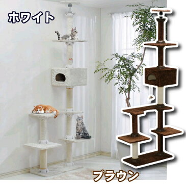 【最安値に挑戦!】キャットタワー 突っ張り CLD-240B 送料無料 天井突っ張り つっぱり 猫タワー 爪とぎ つめとぎ おしゃれ 多頭飼い 複数飼い 爪磨き ストレス解消 運動不足 ホワイト ブラウン