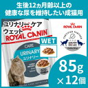 【なくなり次第終了★200円OFFクーポン有】 ロイヤルカナ...