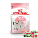 [10/1限定★最大100%ポイントバック] ロイヤルカナン 猫 FHN キトン 2kg ≪正規品≫ 生後12ヶ月齢までの子猫用 キャットフード プレミアムフード ドライ 仔猫 キトンケア 楽天 [3182550702423][AA]【D】▼【rccf11】