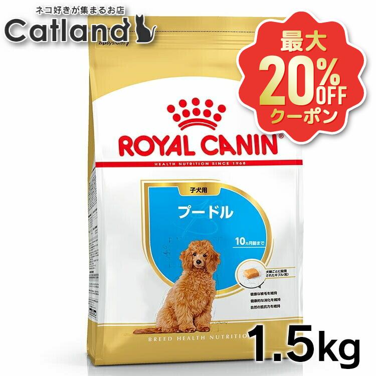 【最大20 OFFクーポン★6/3-7】ロイヤルカナン 犬 BHN プードル 子犬用 1.5kg ≪正規品≫ 生後10ヵ月齢まで パピー 仔犬 犬 フード ドライ プレミアムフード ROYAL CANIN 楽天 3182550765213 【rcdb16】