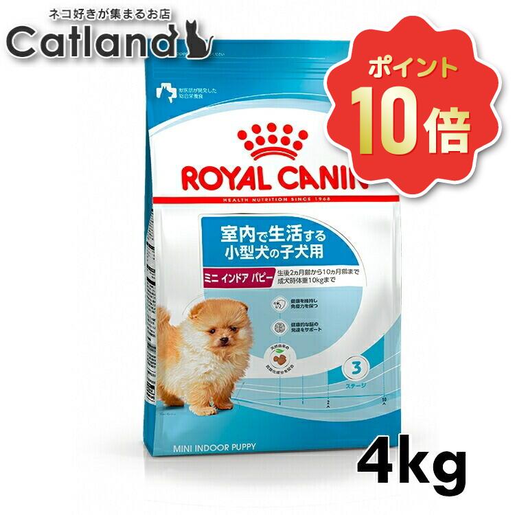 《ポイント10倍★6/10-11 1:59迄》ロイヤルカナン プレミアムフード ミニ インドア パピー 4kg 犬 小型犬 子犬 室内 フード 犬用 ドッグフード ドライ ドライフード 正規品 SHN サイズ別 室内で生活する小型犬 10ヶ月齢まで ROYAL CANIN 3182550849593 【rcdb53】