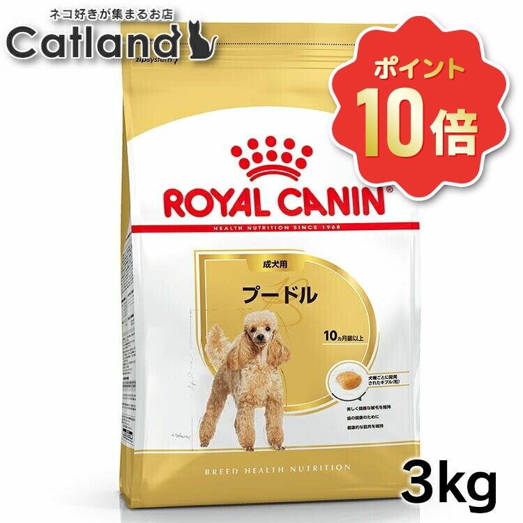 《ポイント10倍★6/10-11 1:59迄》ロイヤルカナン 3kg プードル 犬 生後10か月齢以上 ジッパー付き ブリードヘルスニュートリション BHN 成犬用 ドッグフード 犬 ドライ フード プレミアムフード 総合栄養食 お得 まとめ買い 3182550765206 ROYALCANIN【rcdb13】
