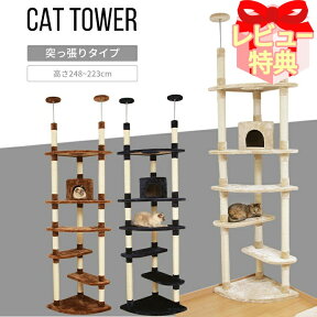 ［最大350円クーポン対象！ワンにゃんDAY］キャットタワー 突っ張り 猫 ねこ ネコ おもちゃ 爪とぎ 爪みがき トンネル スリム 省スペース おしゃれ 多頭 シニア 子猫 爪とぎ 多頭飼い ベージュ ブラウン ネイビー おしゃれ インテリア ストレス解消 賃貸 【D】【AR対象】