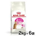 《最大400円OFFクーポン！くらしにプラス》ロイヤルカナン 猫 FHN プロテイン エクシジェント 2kg×6個セット ≪正規品≫ 食事にこだわりがある猫用 送料無料 高タンパク キャットフード プレミアム ドライ まとめ買い ROYAL CANIN 