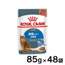 ső400~OFFN[|I炵ɃvXtCJi L FHN EFbg EgCg 85g~48Zbg 얞X̔Lp zIȃJ[PA ̏dǗLp Lbgt[h pE` v~A ROYAL CANIN FHN-WET [9003579308769]yDzyrccf46z