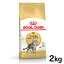 ֥륫ʥ ǭ FBN ꥫ󥷥硼ȥإ ǭ 2kg  åȥա ץߥա ɥ饤  ǭ royal canin [3182550861700]D [AA]FBN_201607_01ۡrccf33ۡפ򸫤