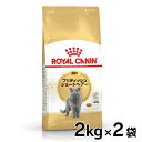 《最大400円OFFクーポン！くらしにプラス》ロイヤルカナン 猫 FBN ブリティッシュショートヘアー 成猫用 2kg×2個セット ≪正規品≫ 猫 フード キャットフード プレミアムフード ドライ アダルト 成猫用 royal canin 楽天 