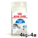 ★最安値に挑戦★【1袋あたり4,987円！4kg×4袋セット】ロイヤルカナン 猫 FHN インドア 4kg×4個セット ≪正規品≫ 送料無料 室内で生活する成猫用 キャットインドア インドアキャット キャットフード ドライフード ROYAL CANIN AA 3182550706933 【D】【rccf06】