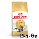 《最大400円OFFクーポン！くらしにプラス》ロイヤルカナン 猫 FBN メインクーン 2kg×6個セット 成猫用 キャットフード プレミアムフード ペットフード アダルト ドライ ROYAL CANIN 健康維持 まとめ買い 3182550710640 AA 【D】【FBN_201607_06】【rccf40】