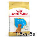 ső400~OFFN[|I炵ɃvXtCJi  BHN v[h qp 1.5kg~6Zbg ᐳKi  10܂ ps[ e  t[h hC v~At[h ROYAL CANIN yV [3182550765213]yDzyrcdb16z