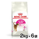 《最大400円OFFクーポン！くらしにプラス》ロイヤルカナン 猫 FHN アロマ エクシジェント 2kg×6個セット ≪正規品≫ 食事にこだわりがある猫用 キャットフード プレミアムフード ドライ 高タンパク まとめ買い ROYAL CANIN [3182550767323]【D】【rccf05】