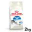 ֡κ350ߥݥоݡˤDAYϥ륫ʥ ǭ FHN ɥ 2kg ʢ 褹ǭ  åȥɥ ɥå  ɥ饤 ץߥա ŷ [3182550704625]Dۢrccf06ۡפ򸫤