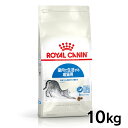 【1日店内全品ポイント2倍！】《最安値に挑戦》ロイヤルカナン 猫 FHN インドア 10kg 正規品 キャットフード 猫用 キャットインドア インドアキャット 室内飼い ドライフード[3182550706940]【D】【rccf06】