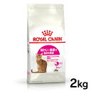 《最大400円OFFクーポン！くらしにプラス》ロイヤルカナン 猫 FHN セイバー エクシジェント 2kg ≪正規品≫ (旧 エクシジェント 35/30) 猫用フード キャットフード プレミアムフード ドライ ROYAL CANIN 3182550717137 【D】【rccf12】