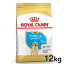 ֡κ350ߥݥоݡˤDAYϥ륫ʥ  BHN ֥ɡȥС Ҹ 12kg ʢ ̵ 15ޤ ѥԡ Ƹ  ա ɥ饤  ɥåա ץߥա ROYAL CANIN [3182550725514]Dۡrcdb26ۡפ򸫤