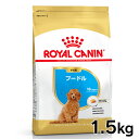 《最大400円OFFクーポン！くらしにプラス》ロイヤルカナン 犬 BHN プードル 子犬用 1.5kg ≪正規品≫ 生後10ヵ月齢まで パピー 仔犬 犬 フード ドライ プレミアムフード ROYAL CANIN 楽天 