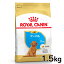 ֡Ժ400OFFݥ󡪤餷˥ץ饹ե륫ʥ  BHN סɥ Ҹ 1.5kg ʢ 10ޤ ѥԡ Ƹ  ա ɥ饤 ץߥա ROYAL CANIN ŷ [3182550765213]Dۡrcdb16ۡפ򸫤