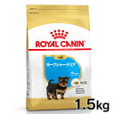 CJi  BHN [NV[eA qp 1.5kg 10܂ ps[ e  t[h hbOt[h hC v~At[h royal canin yV [3182550743471]yDzyrcdb23z