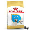 CJi  BHN t`uhbO q 1kg ᐳKi 12܂ ps[ e  t[h hC hbOt[h v~At[h ROYAL CANIN yV [3182550765220]yDzyrcdb18z