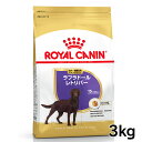 ロイヤルカナン 犬 BHN ラブラドールレトリバー ステアライズド 成犬～高齢犬用 3kg ≪正規品≫ 生後15ヵ月齢以上 成犬～高齢犬 アダルト シニア 犬 ドライ ドッグフード プレミアムフード 