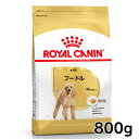 ロイヤルカナン 犬 BHN プードル 成犬用 800g ≪正規品≫ 生後10ヵ月齢以上 アダルト 犬 フード ドライ プレミアムフード ROYAL CANIN 楽天 