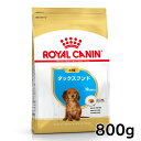 CJi  BHN _bNXth qp 800g ᐳKi  t[h hC e ps[ hbOt[h v~At[h ROYAL CANIN yV [3182550788113]yDz