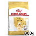 mő350~N[|ΏہIɂDAYnCJi  BHN v[h Ep 800g ᐳKi 8Έȏ VjA p V  t[h hC v~At[h ROYAL CANIN yV [3182550824491]yDzyrcdb15z