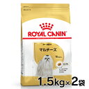 mő350~N[|ΏہIɂDAYnCJi  BHN }`[Y `p 1.5kg~2Zbg ᐳKi 10ȏ A_g VjA  t[h hC A_g hbOt[h v~At[h ROYAL CANIN [3182550782203]yDzyrcdb19z