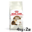 《最大400円OFFクーポン！くらしにプラス》ロイヤルカナン 猫 FHN エイジング 12+ 4kg×2個セット ≪正規品≫ (旧 エイジング +12) 12歳以上の高齢猫用 老猫用 シニア キャットフード ドライフード プレミアム ROYAL CANIN 