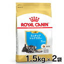 CJi  BHN ~j`AViEU[ qp 1.5kg~2Zbg ᐳKi 10܂ ps[ e  t[h hC hbOt[h v~At[h ROYAL CANIN [3182550813105]yDzyrcdb21z