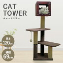 【全品使える5%オフクーポン★18日限定】キャットタワー 据え置き 省スペース モダンルームスクラッチ ラージ H120 84178送料無料 キャットタワー 自...