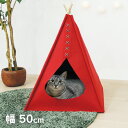 《最大400円OFFクーポン！くらしにプラス》ペットベッド 冬 秋冬 冬用 夏 ドーム 洗える 冬用 犬 クッション 型ベッド テントハウス テント型 ホットカーペット ふわふわ 猫 暖かい 小型犬 中型犬 猫用 モチーフ かわいい おしゃれ 猫ベッド 犬 ベッド 通年 アイリスオーヤマ